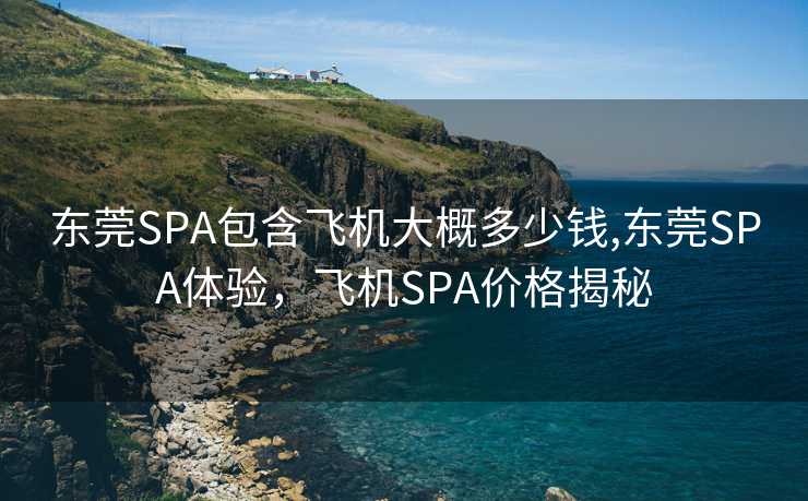 东莞SPA包含飞机大概多少钱,东莞SPA体验，飞机SPA价格揭秘