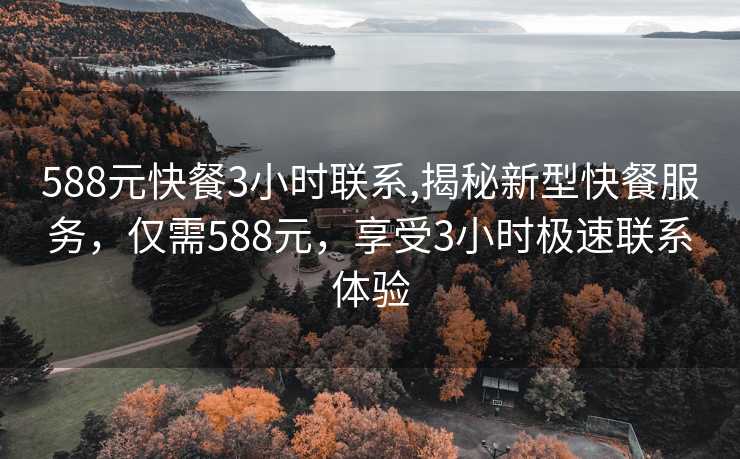 588元快餐3小时联系,揭秘新型快餐服务，仅需588元，享受3小时极速联系体验