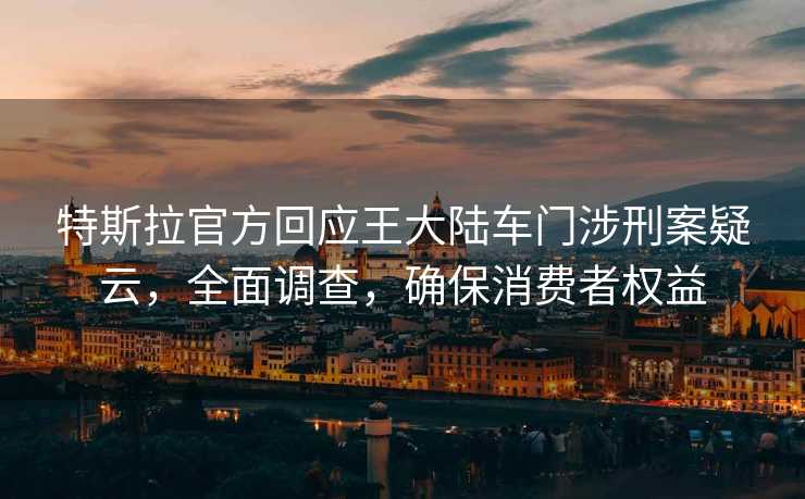 特斯拉官方回应王大陆车门涉刑案疑云，全面调查，确保消费者权益