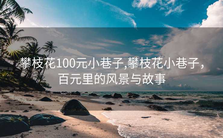 攀枝花100元小巷子,攀枝花小巷子，百元里的风景与故事