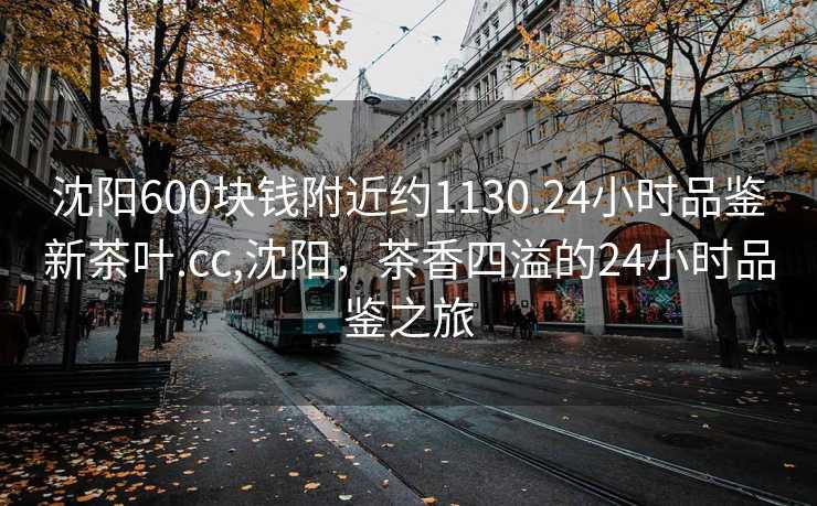 沈阳600块钱附近约1130.24小时品鉴新茶叶.cc,沈阳，茶香四溢的24小时品鉴之旅