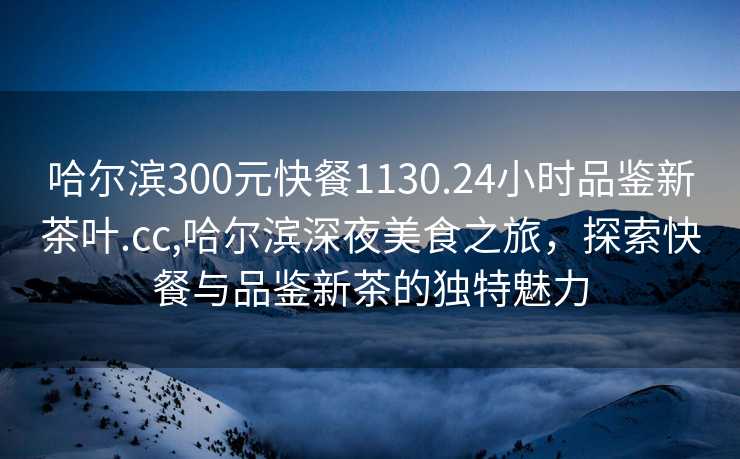 哈尔滨300元快餐1130.24小时品鉴新茶叶.cc,哈尔滨深夜美食之旅，探索快餐与品鉴新茶的独特魅力