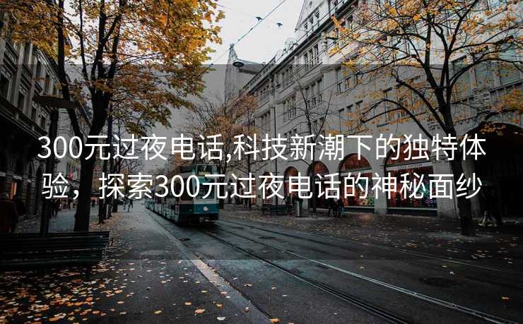 300元过夜电话,科技新潮下的独特体验，探索300元过夜电话的神秘面纱