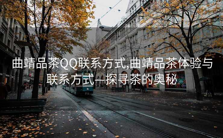 曲靖品茶QQ联系方式,曲靖品茶体验与联系方式—探寻茶的奥秘