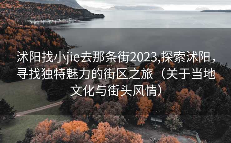 沭阳找小jie去那条街2023,探索沭阳，寻找独特魅力的街区之旅（关于当地文化与街头风情）