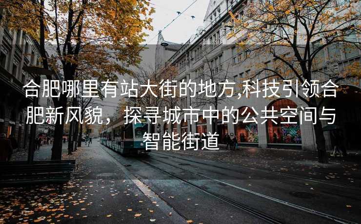 合肥哪里有站大街的地方,科技引领合肥新风貌，探寻城市中的公共空间与智能街道