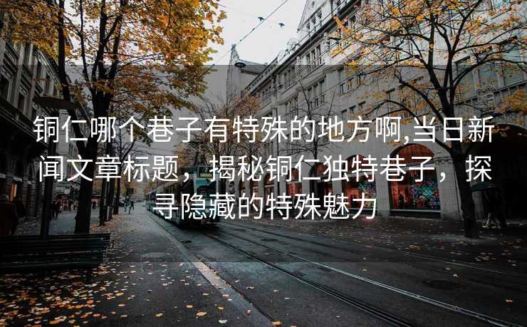 铜仁哪个巷子有特殊的地方啊,当日新闻文章标题，揭秘铜仁独特巷子，探寻隐藏的特殊魅力