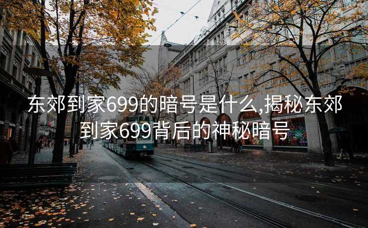 东郊到家699的暗号是什么,揭秘东郊到家699背后的神秘暗号