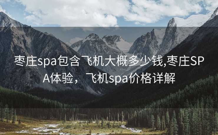 枣庄spa包含飞机大概多少钱,枣庄SPA体验，飞机spa价格详解