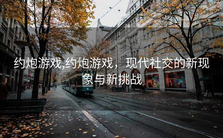 约炮游戏,约炮游戏，现代社交的新现象与新挑战