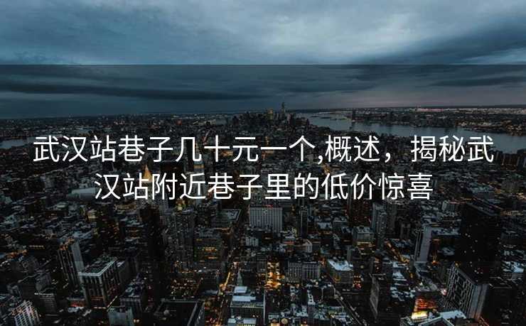 武汉站巷子几十元一个,概述，揭秘武汉站附近巷子里的低价惊喜