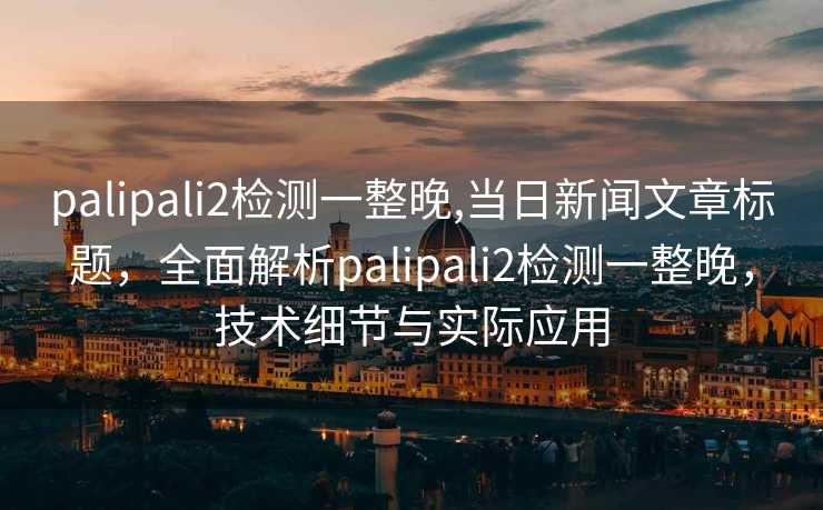 palipali2检测一整晚,当日新闻文章标题，全面解析palipali2检测一整晚，技术细节与实际应用