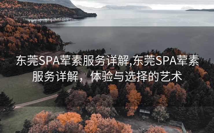 东莞SPA荤素服务详解,东莞SPA荤素服务详解，体验与选择的艺术