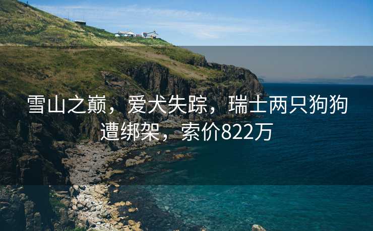 雪山之巅，爱犬失踪，瑞士两只狗狗遭绑架，索价822万