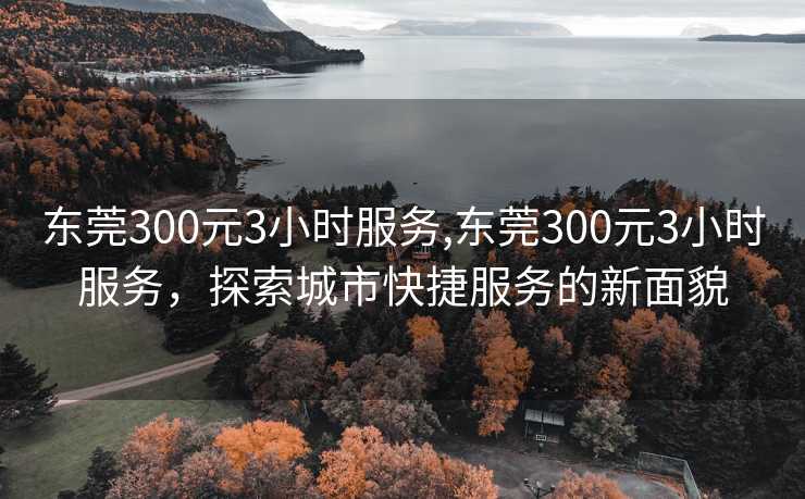 东莞300元3小时服务,东莞300元3小时服务，探索城市快捷服务的新面貌