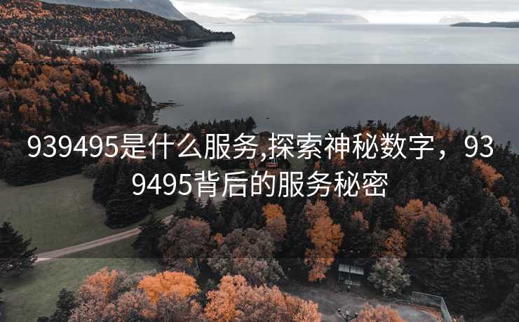 939495是什么服务,探索神秘数字，939495背后的服务秘密