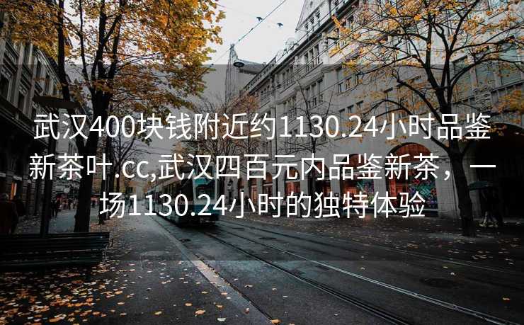 武汉400块钱附近约1130.24小时品鉴新茶叶.cc,武汉四百元内品鉴新茶，一场1130.24小时的独特体验