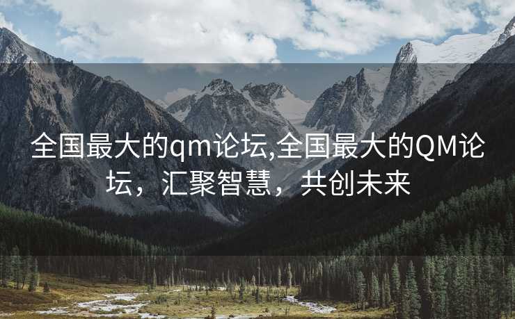 全国最大的qm论坛,全国最大的QM论坛，汇聚智慧，共创未来