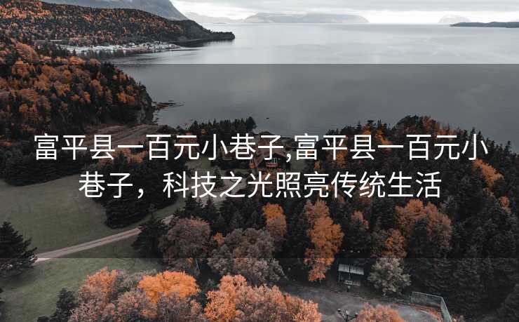 富平县一百元小巷子,富平县一百元小巷子，科技之光照亮传统生活