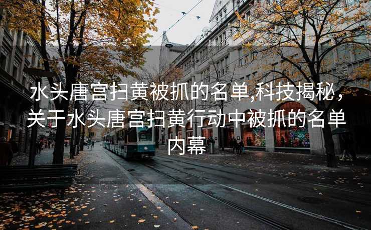 水头唐宫扫黄被抓的名单,科技揭秘，关于水头唐宫扫黄行动中被抓的名单内幕