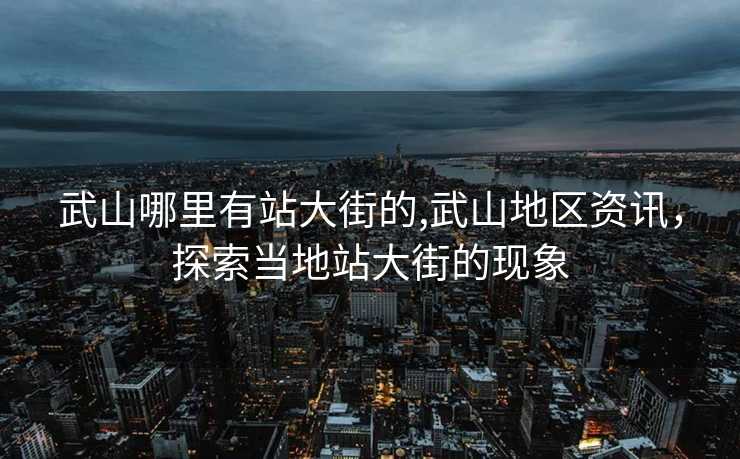 武山哪里有站大街的,武山地区资讯，探索当地站大街的现象