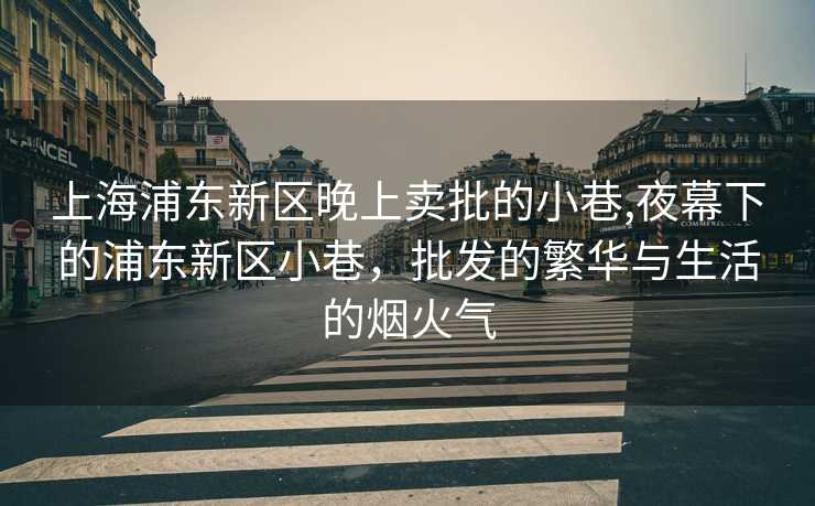 上海浦东新区晚上卖批的小巷,夜幕下的浦东新区小巷，批发的繁华与生活的烟火气