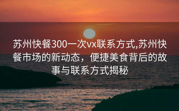 苏州快餐300一次vx联系方式,苏州快餐市场的新动态，便捷美食背后的故事与联系方式揭秘