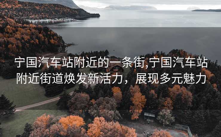 宁国汽车站附近的一条街,宁国汽车站附近街道焕发新活力，展现多元魅力