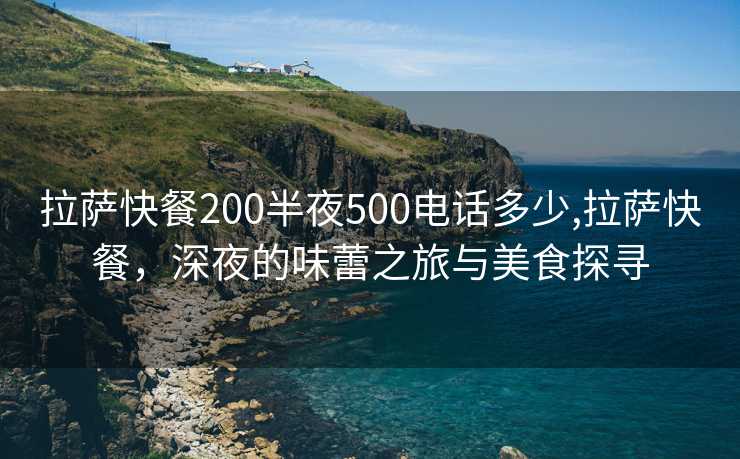 拉萨快餐200半夜500电话多少,拉萨快餐，深夜的味蕾之旅与美食探寻