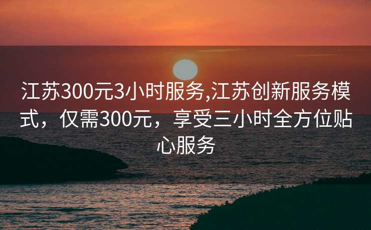 江苏300元3小时服务,江苏创新服务模式，仅需300元，享受三小时全方位贴心服务