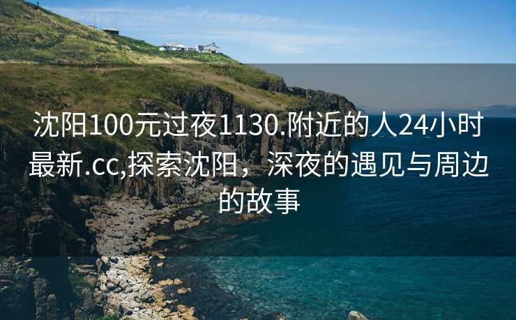 沈阳100元过夜1130.附近的人24小时最新.cc,探索沈阳，深夜的遇见与周边的故事