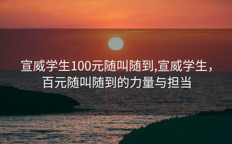 宣威学生100元随叫随到,宣威学生，百元随叫随到的力量与担当