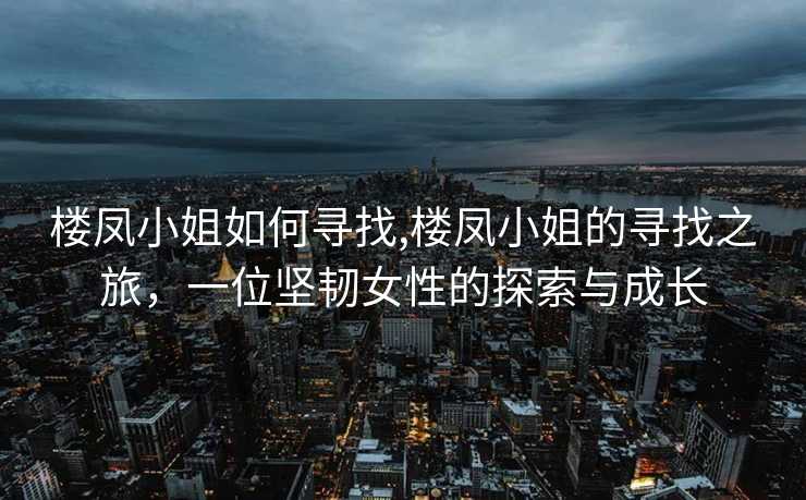 楼凤小姐如何寻找,楼凤小姐的寻找之旅，一位坚韧女性的探索与成长