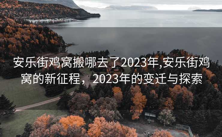 安乐街鸡窝搬哪去了2023年,安乐街鸡窝的新征程，2023年的变迁与探索