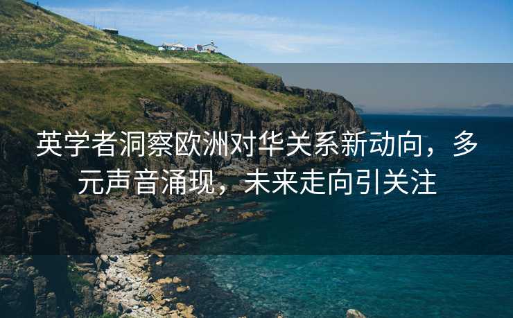 英学者洞察欧洲对华关系新动向，多元声音涌现，未来走向引关注