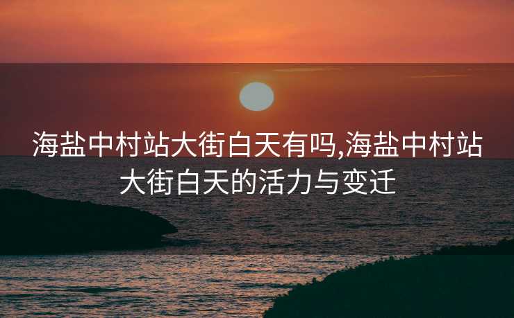 海盐中村站大街白天有吗,海盐中村站大街白天的活力与变迁