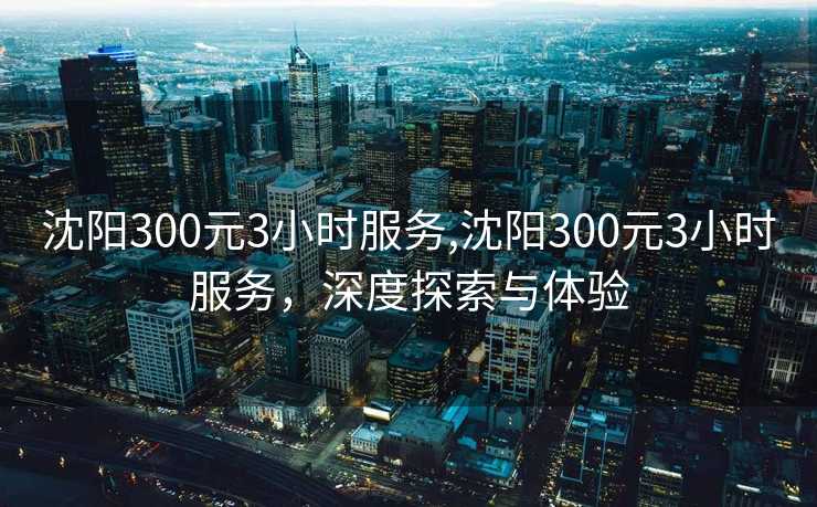 沈阳300元3小时服务,沈阳300元3小时服务，深度探索与体验