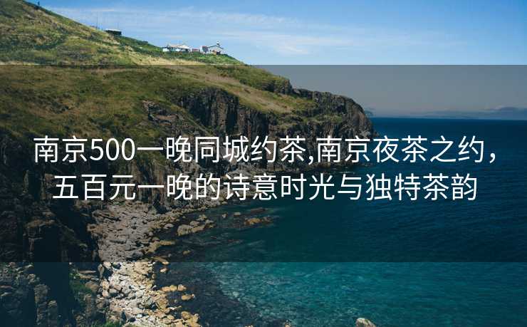 南京500一晚同城约茶,南京夜茶之约，五百元一晚的诗意时光与独特茶韵