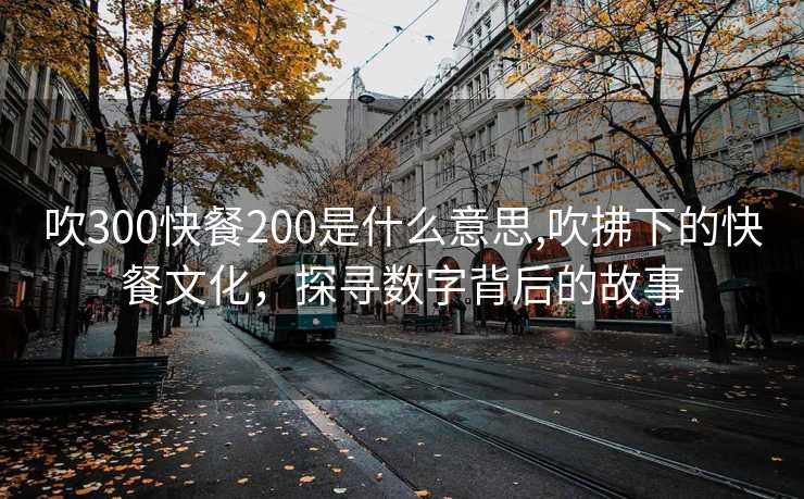 吹300快餐200是什么意思,吹拂下的快餐文化，探寻数字背后的故事