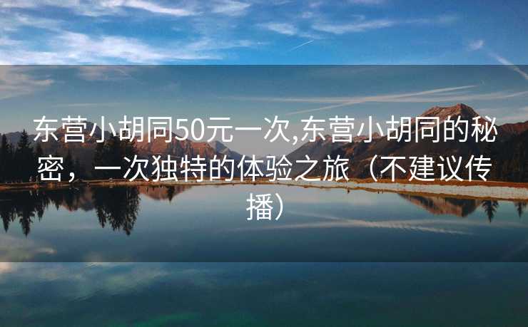 东营小胡同50元一次,东营小胡同的秘密，一次独特的体验之旅（不建议传播）