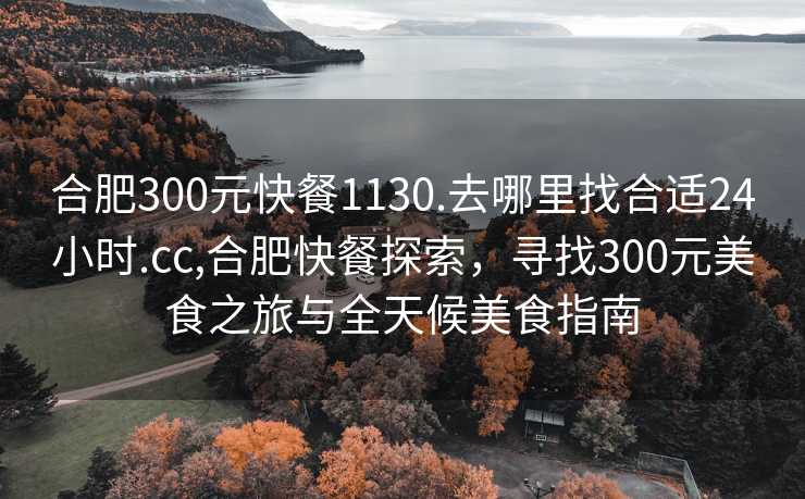 合肥300元快餐1130.去哪里找合适24小时.cc,合肥快餐探索，寻找300元美食之旅与全天候美食指南