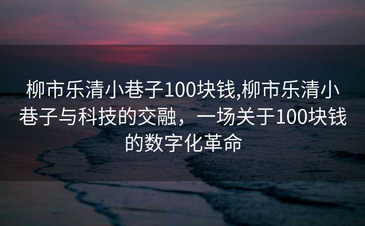 柳市乐清小巷子100块钱,柳市乐清小巷子与科技的交融，一场关于100块钱的数字化革命