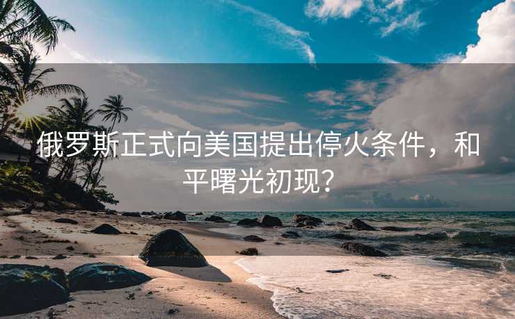 俄罗斯正式向美国提出停火条件，和平曙光初现？