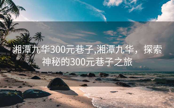 湘潭九华300元巷子,湘潭九华，探索神秘的300元巷子之旅