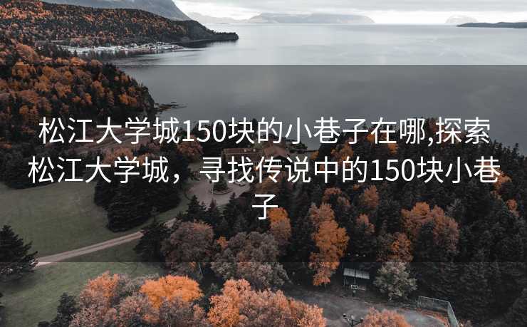 松江大学城150块的小巷子在哪,探索松江大学城，寻找传说中的150块小巷子