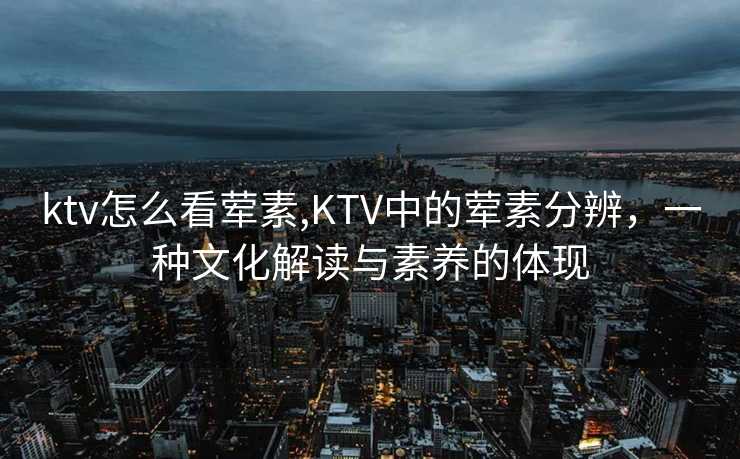 ktv怎么看荤素,KTV中的荤素分辨，一种文化解读与素养的体现