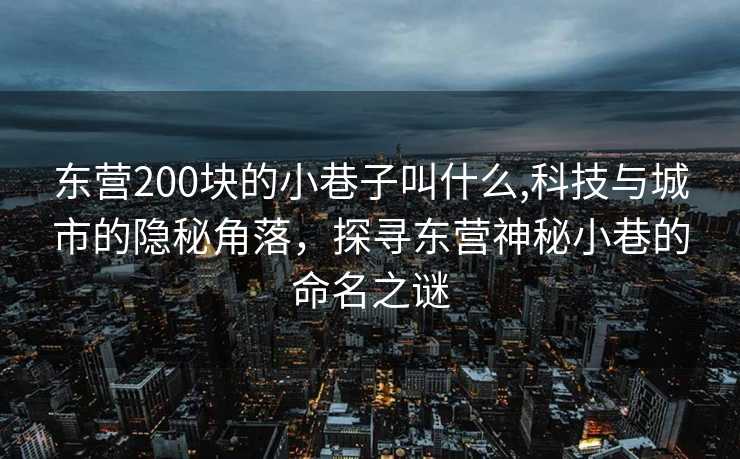 东营200块的小巷子叫什么,科技与城市的隐秘角落，探寻东营神秘小巷的命名之谜