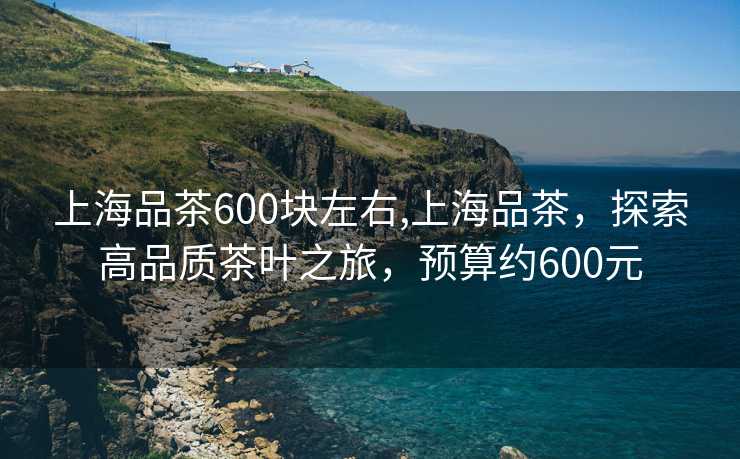 上海品茶600块左右,上海品茶，探索高品质茶叶之旅，预算约600元