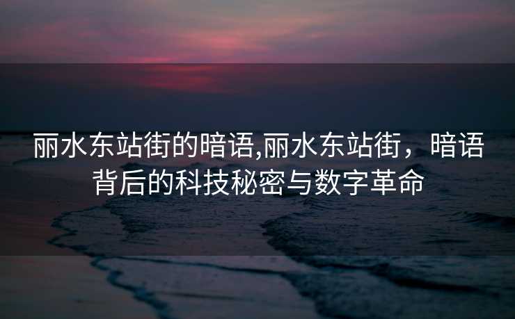 丽水东站街的暗语,丽水东站街，暗语背后的科技秘密与数字革命