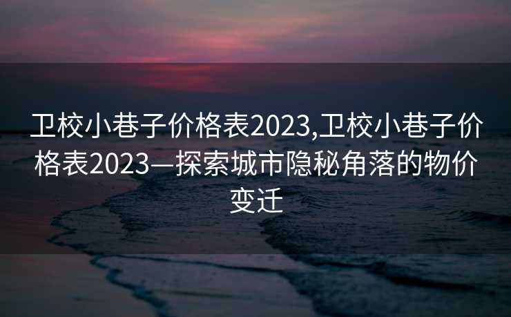 卫校小巷子价格表2023,卫校小巷子价格表2023—探索城市隐秘角落的物价变迁